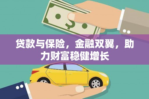 新社贷款与保险，金融双翼，助力财富稳健增长