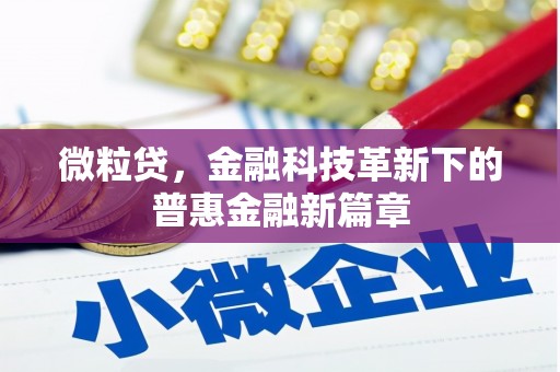 盐田微粒贷，金融科技革新下的普惠金融新篇章