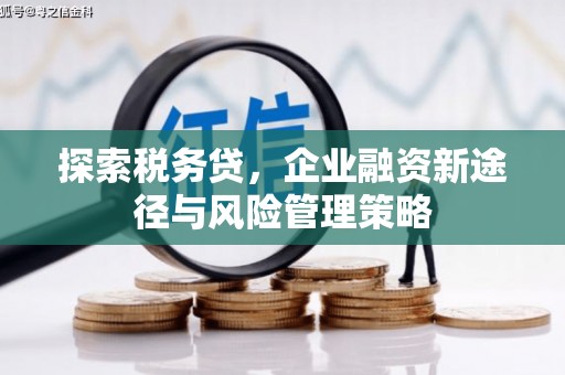 珲春探索税务贷，企业融资新途径与风险管理策略