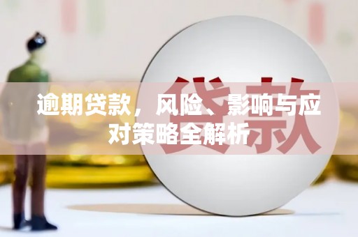 孝南逾期贷款，风险、影响与应对策略全解析