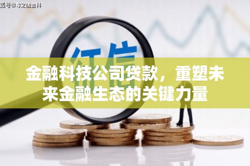 天祝金融科技公司贷款，重塑未来金融生态的关键力量