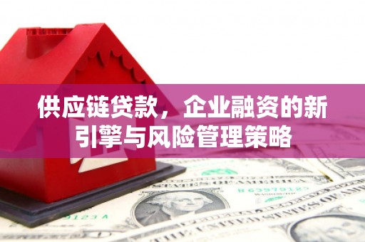 甲仙供应链贷款，企业融资的新引擎与风险管理策略