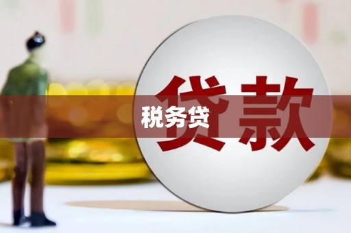 万柏林税务贷