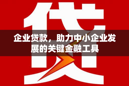 嵊泗企业贷款，助力中小企业发展的关键金融工具