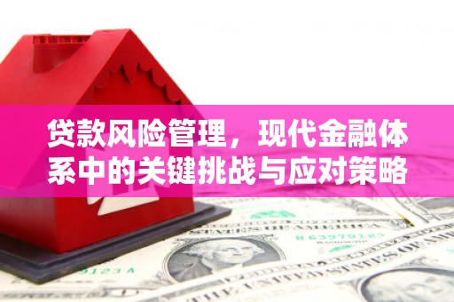 舞钢贷款风险管理，现代金融体系中的关键挑战与应对策略