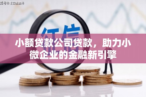 台安小额贷款公司贷款，助力小微企业的金融新引擎