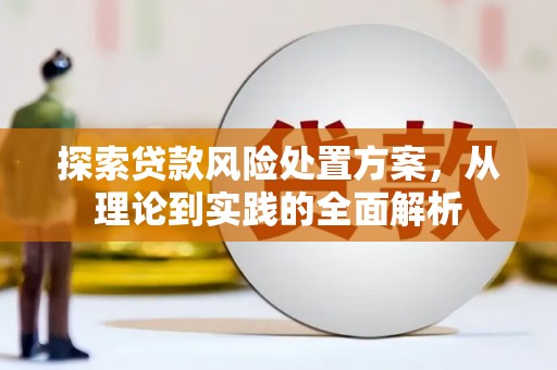 武鸣探索贷款风险处置方案，从理论到实践的全面解析