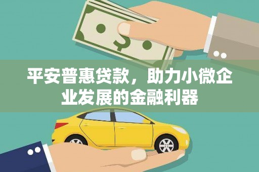 宁远平安普惠贷款，助力小微企业发展的金融利器