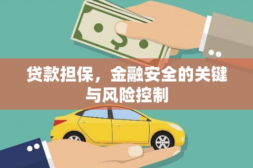 埔心贷款担保，金融安全的关键与风险控制