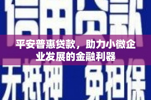 隆子平安普惠贷款，助力小微企业发展的金融利器