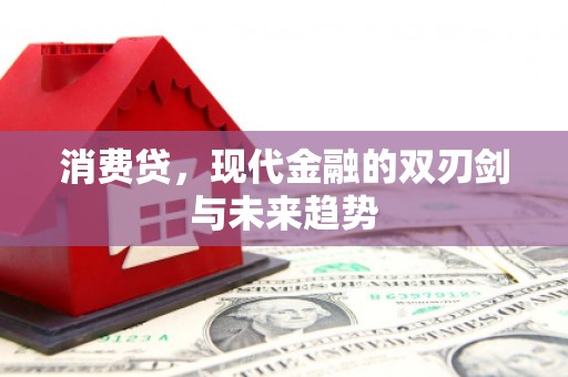 大湖消费贷，现代金融的双刃剑与未来趋势