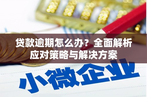 江西贷款逾期怎么办？全面解析应对策略与解决方案