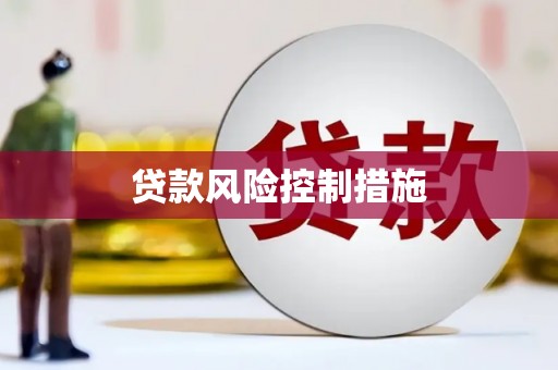 泽库贷款风险控制措施