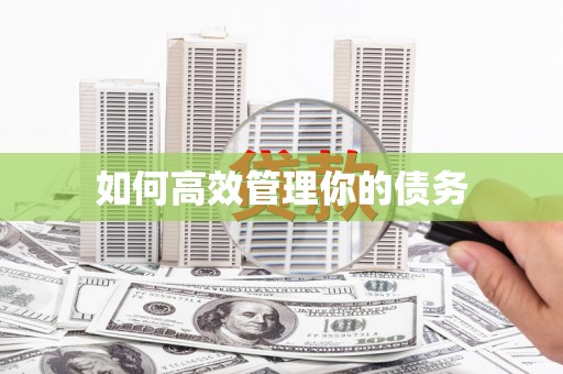 德宏如何高效管理你的债务