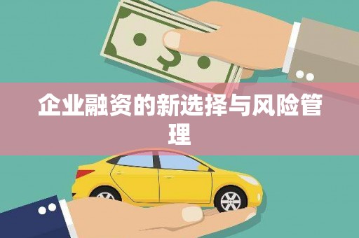 阳泉企业融资的新选择与风险管理