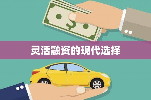浈江灵活融资的现代选择