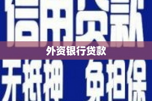 泸水外资银行贷款