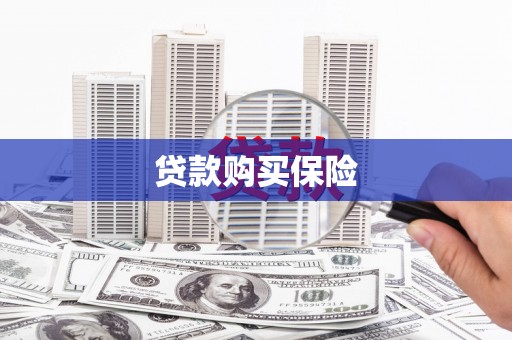 澜沧贷款购买保险