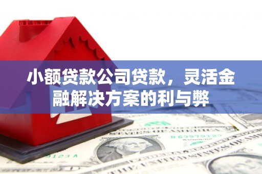 腾冲小额贷款公司贷款，灵活金融解决方案的利与弊